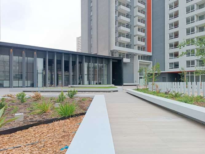 Guillermo Mann [3632-4]