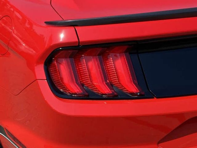 Ford Mustang 5.0 Mach 1 At 2024