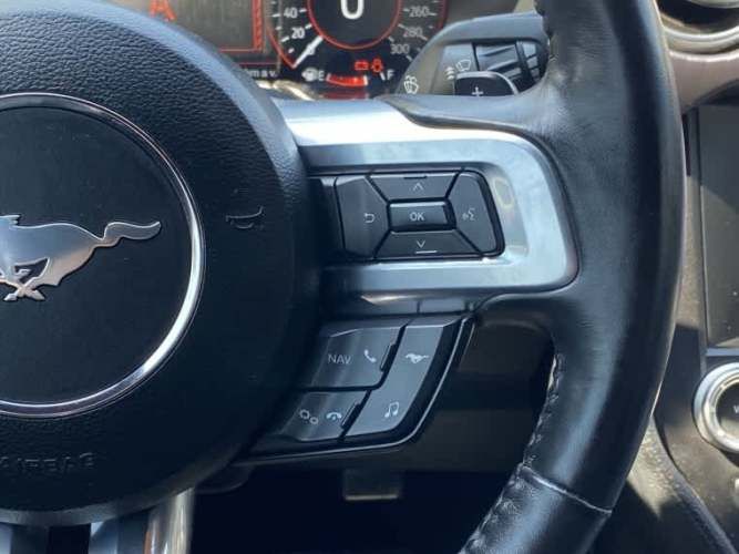 Ford Mustang 5.0 Mach 1 At 2024