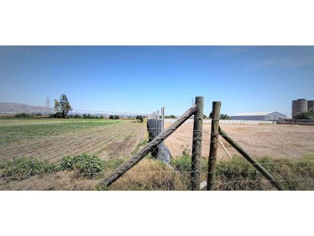 Arriendo de sitio de 3.000 m2, en San Pedro, Quillota.