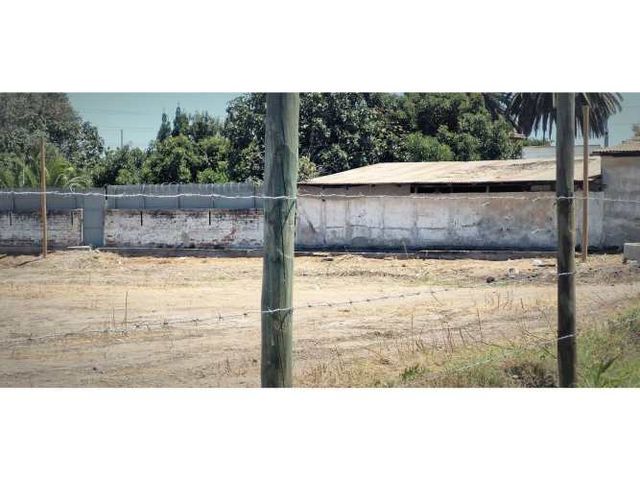 Arriendo de sitio de 3.000 m2, en San Pedro, Quillota.