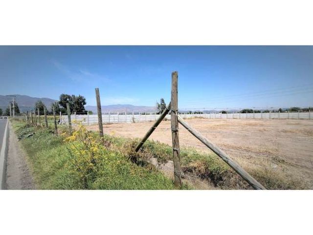 Arriendo de sitio de 3.000 m2, en San Pedro, Quillota.