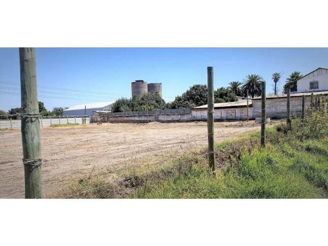 Arriendo de sitio de 3.000 m2, en San Pedro, Quillota.