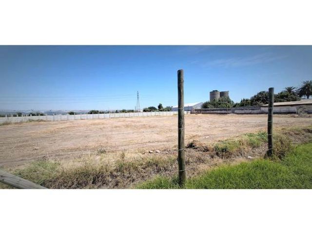 Arriendo de sitio de 3.000 m2, en San Pedro, Quillota.