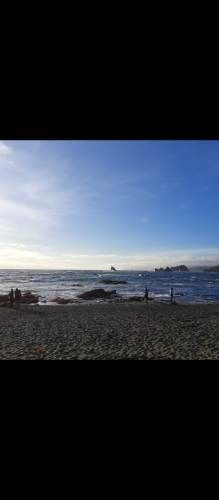 TERRENO  UBICADO  EN MIMAR  BAJO   COMUNA  DE  LOS  MUERMOS