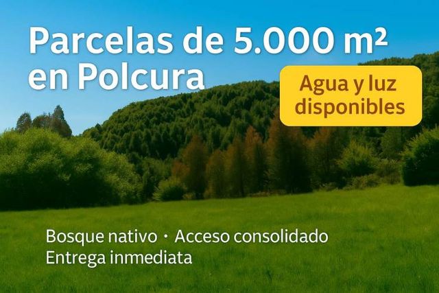 Terrenos Parcelas en altos de Polcura, Tucapel, Biobio