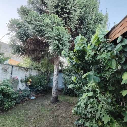 Bella Casa en Villa Manuel Plaza Calle Coelemu Comuna Lampa