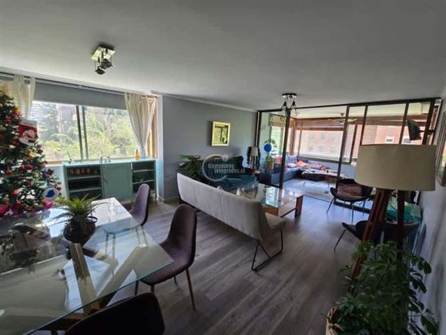 DEPARTAMENTO Manquehue, Cerro Colorado