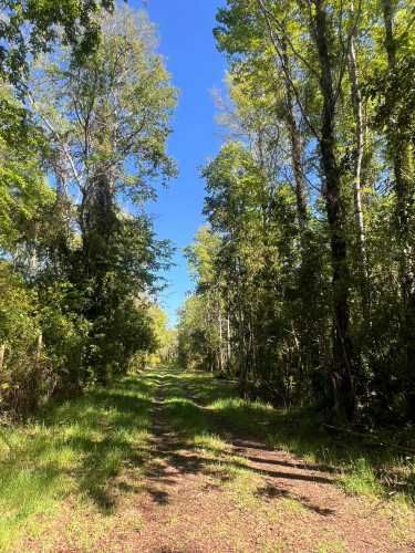 VENTA PARCELA PUCÓN SECTOR BOSQUES METREÑEHUE (135515)