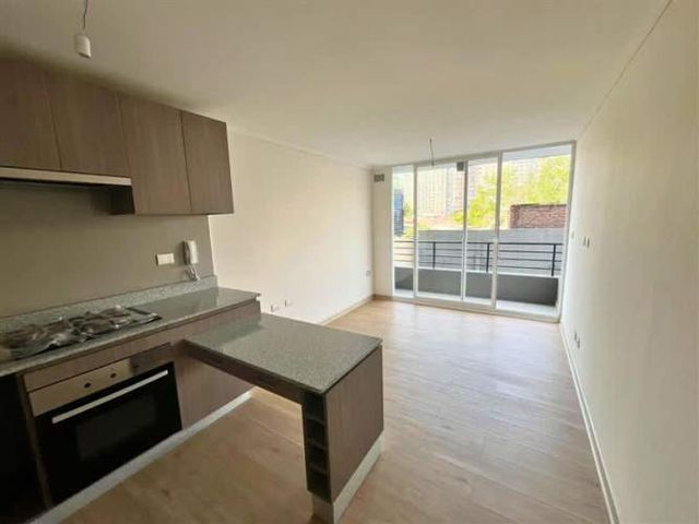 DEPARTAMENTO Briones Luco / Gran Avenida