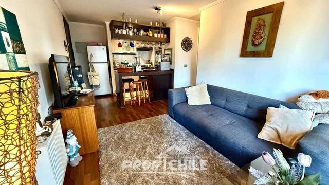 Viña del Mar Centro, En VENTA 2D+2B. (135720)