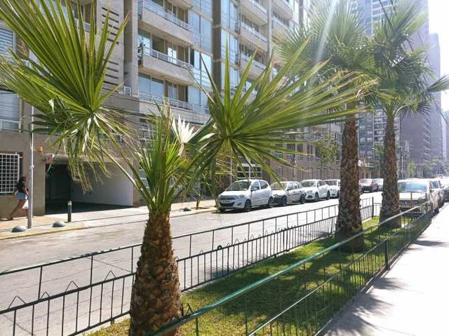 Placilla, Metro San Alberto Hurtado (135681)