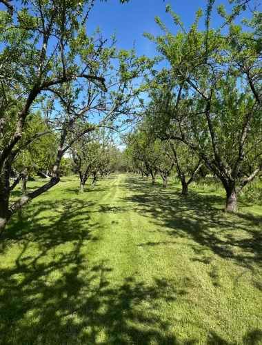 Acceso Sur- Rio Maipo- Curihue/ -Parcela con luz y agua instalada Condominio