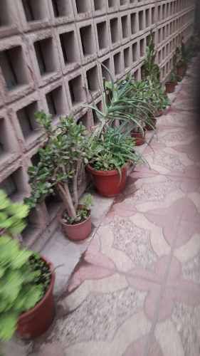 DUPLEX DE 3 HABITACIONES 2 BAÑOS EN PLENO CENTRO