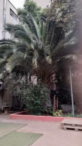 DUPLEX DE 3 HABITACIONES 2 BAÑOS EN PLENO CENTRO