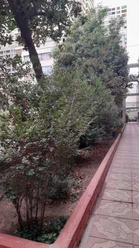 DUPLEX DE 3 HABITACIONES 2 BAÑOS EN PLENO CENTRO