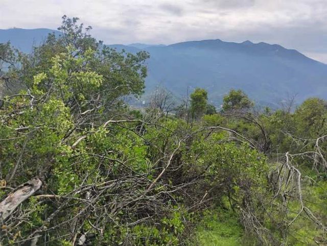 PARCELA Cuesta Zapata