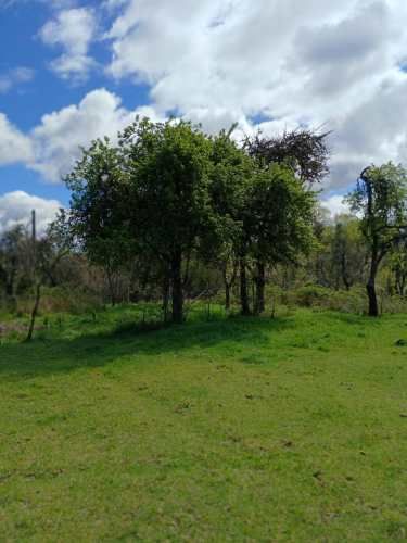 OPORTUNIDAD, VENTA PARCELA CON 2 CABAÑAS  EN PANGUPULLI