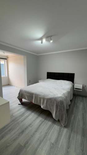 Luminosidad y Confort en Cada Rincón (135766)