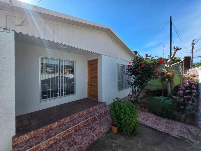 Luminosidad y Confort en Cada Rincón (135766)