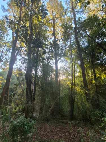 VENTA CASA NUEVA AUTOSUSTENTABLE