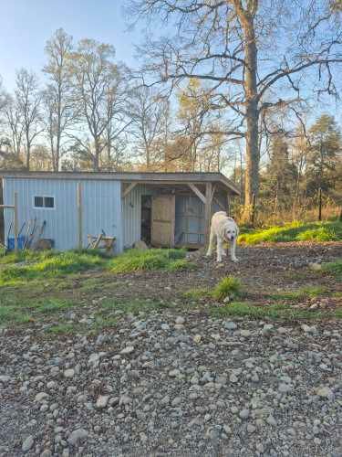 VENTA CASA NUEVA AUTOSUSTENTABLE