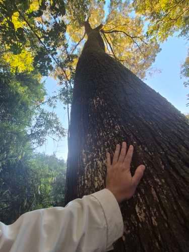 VENTA CASA NUEVA AUTOSUSTENTABLE