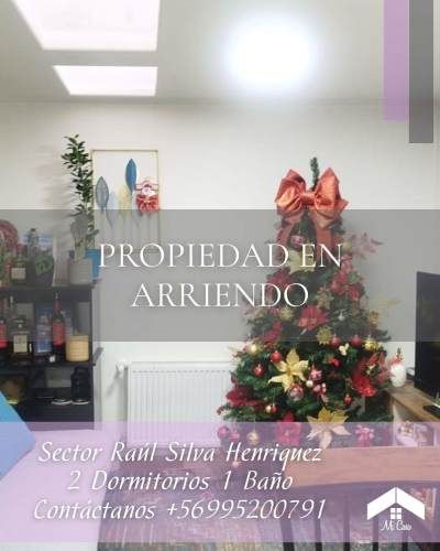 PROPIEDAD INTERIOR SECTOR RAÚL SILVA HENRÍQUEZ