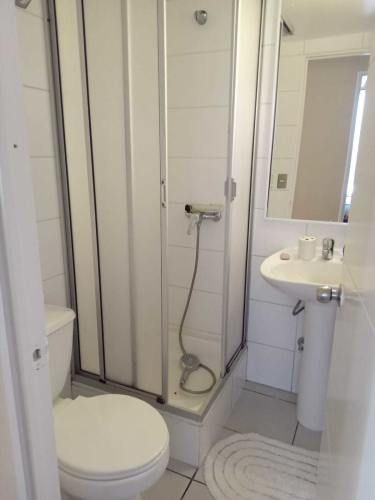 Venta Dpto. Sector Central  (135785)