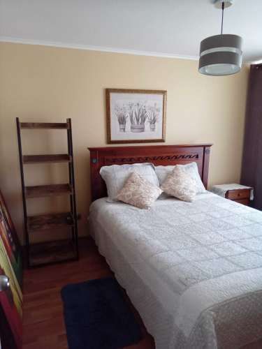 Venta Dpto. Sector Central  (135785)