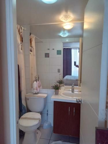 Venta Dpto. Sector Central  (135785)