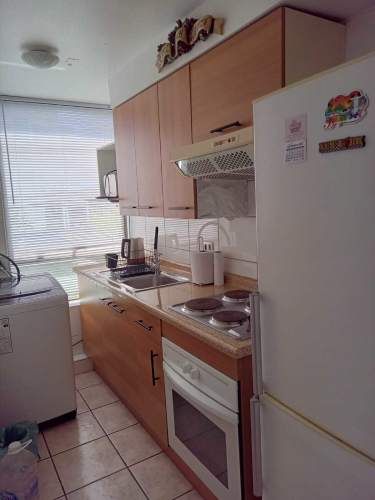 Venta Dpto. Sector Central  (135785)