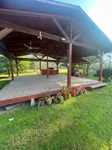 Conexión Total con la Naturaleza (135849)