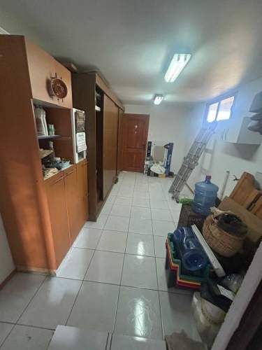 Conexión Total con la Naturaleza (135849)