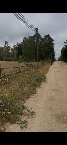 Agrícola en venta de 5000m2 ubicado en Localidad de Pichilemu