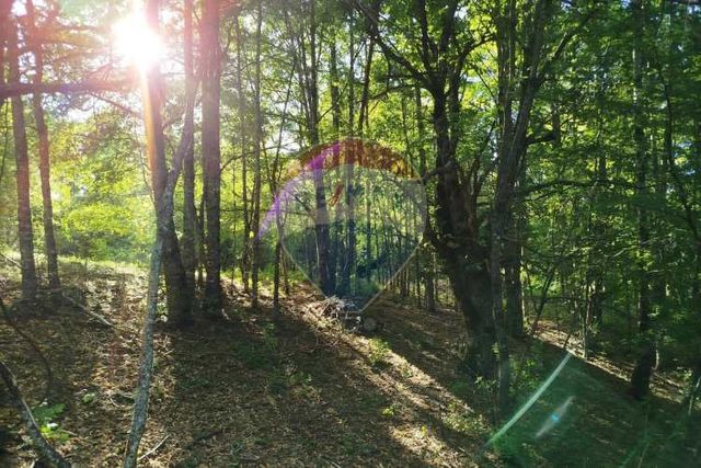 Parcelas en venta pucón villarrica