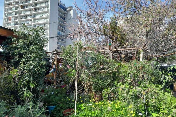 Venta, ñuñoa, propiedad 525 mts2