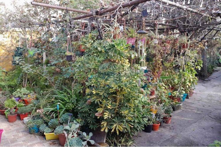 Venta, ñuñoa, propiedad 525 mts2