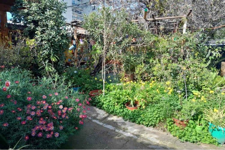 Venta, ñuñoa, propiedad 525 mts2