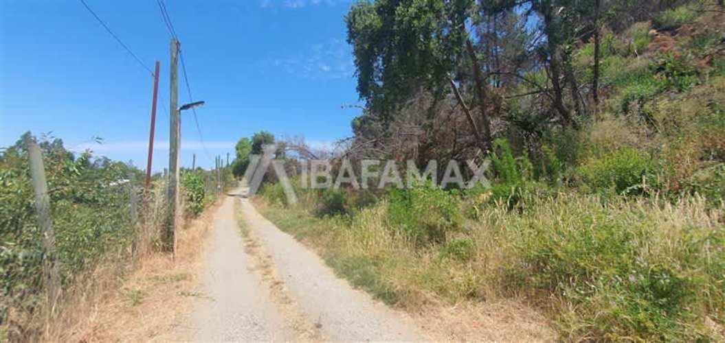 PARCELA Estero Coyanco