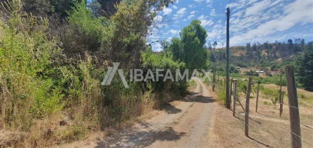 PARCELA Estero Coyanco