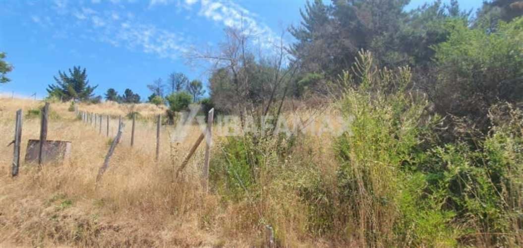 PARCELA Estero Coyanco