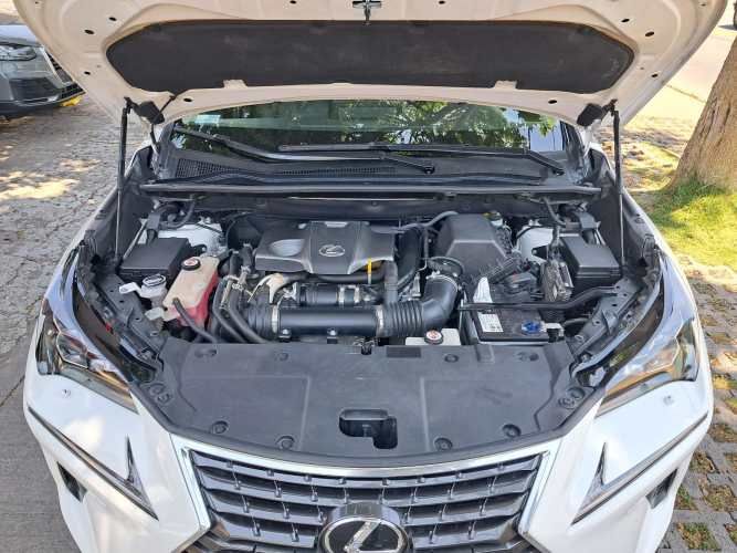 LEXUS NX 300 SPORT 4X4 2.0 AUT 2019