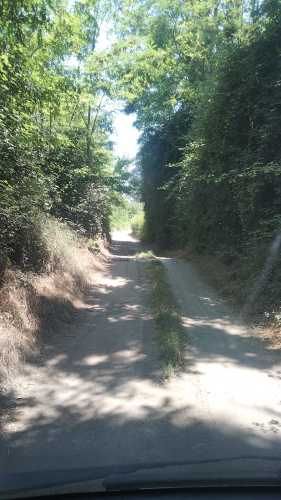 PARCELA 1 HA EN BUIN SECTOR EL RECURSO