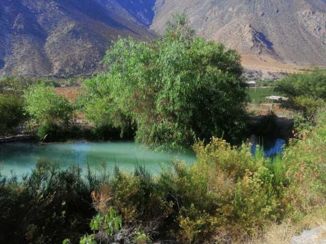 Terreno agrícola especial para proyecto turístico