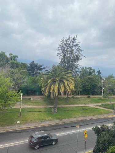 Luminoso Espacio con Gran Conectividad (135965)