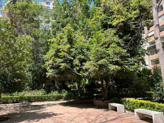 Arriendo Departamento