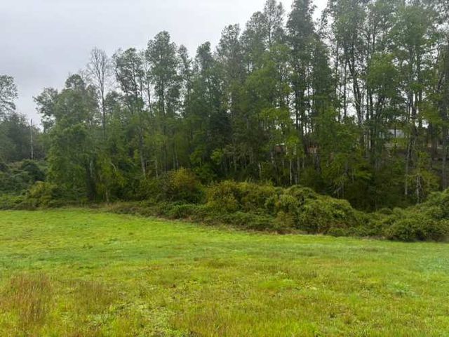 Parcelas en Sector Caivico a 30 min de Temuco