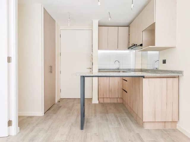 Domeyko 1950 [3557-1]