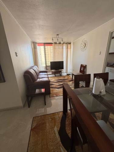 Departamento Las Gaviotas